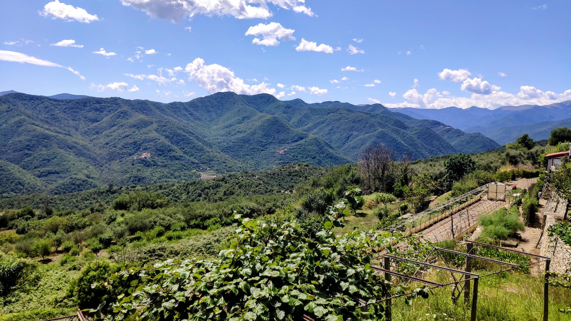 Locanda tribaleglobale