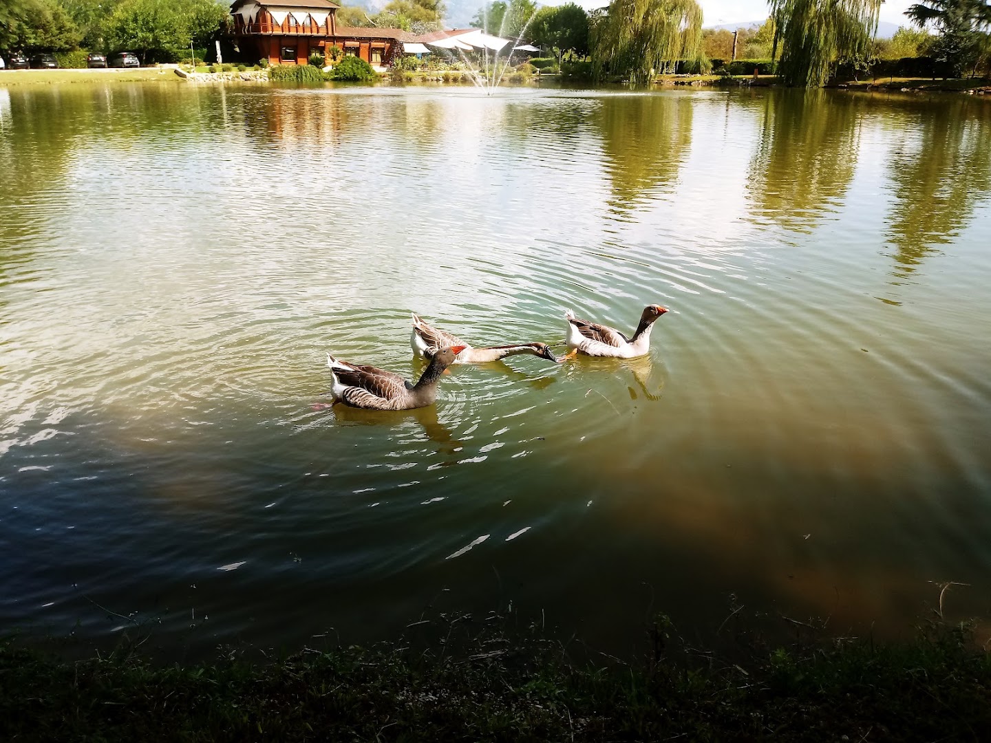 L'Olandese Volante