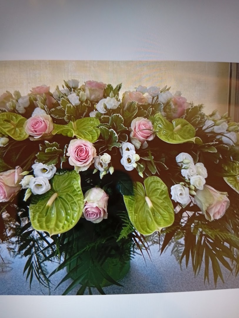 L'Orchidea Di Nencini Patrizia