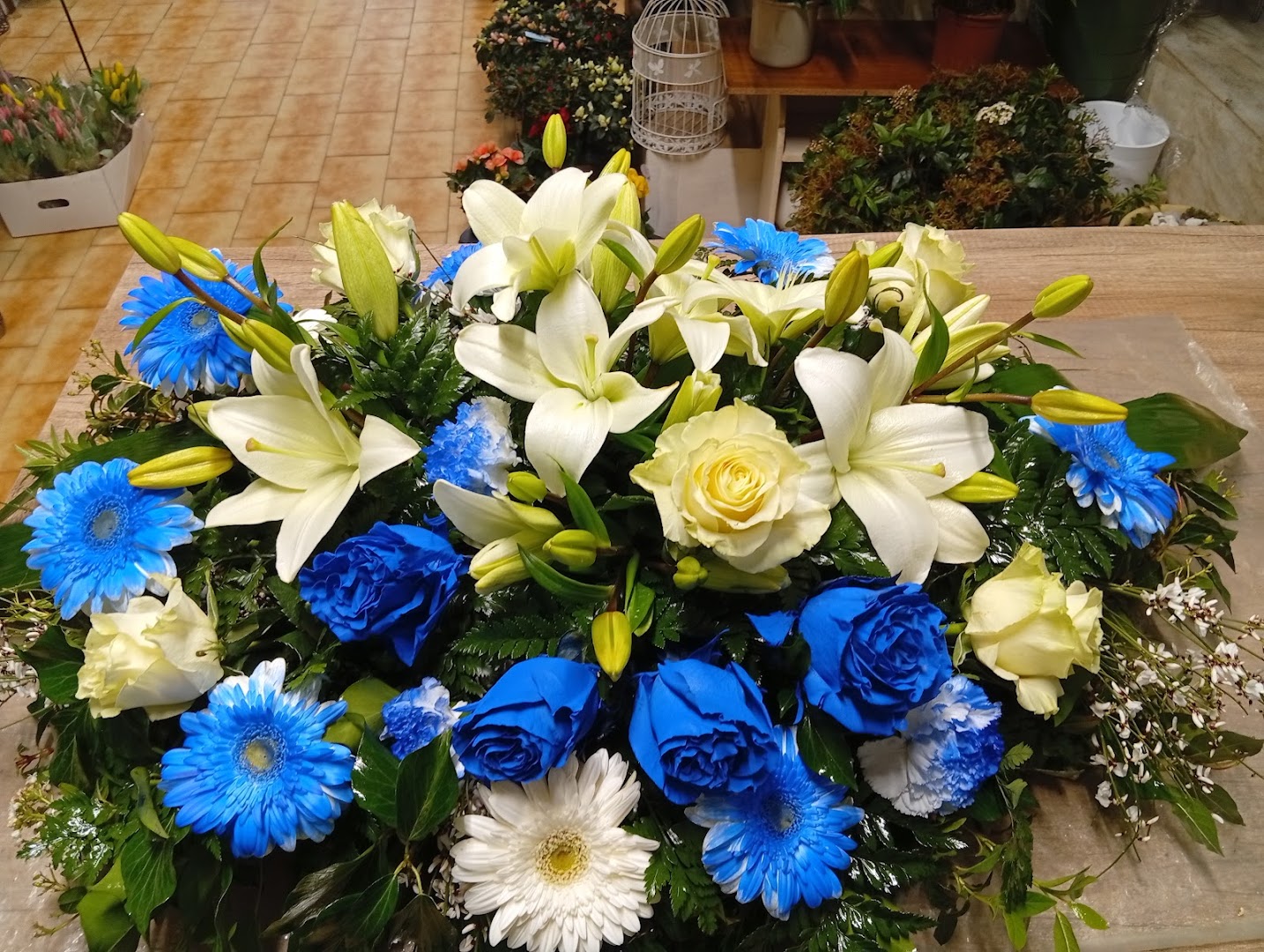 L'Orchidea Di Nencini Patrizia