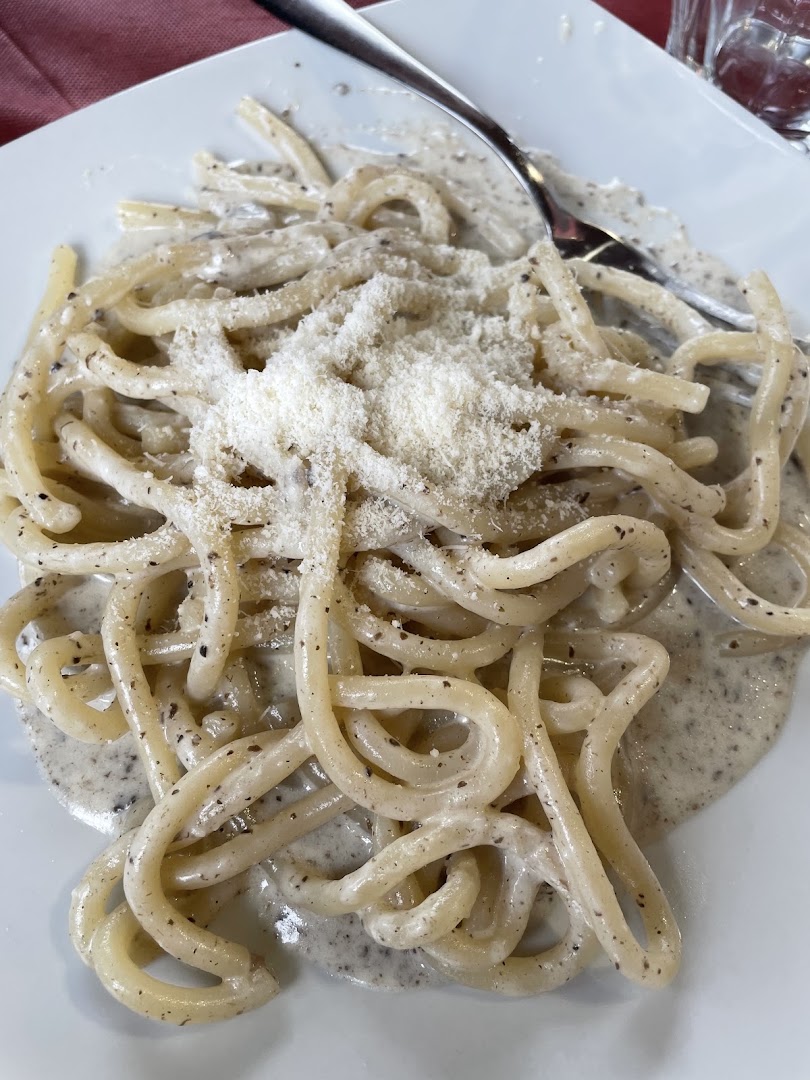 L'Orso Bruno