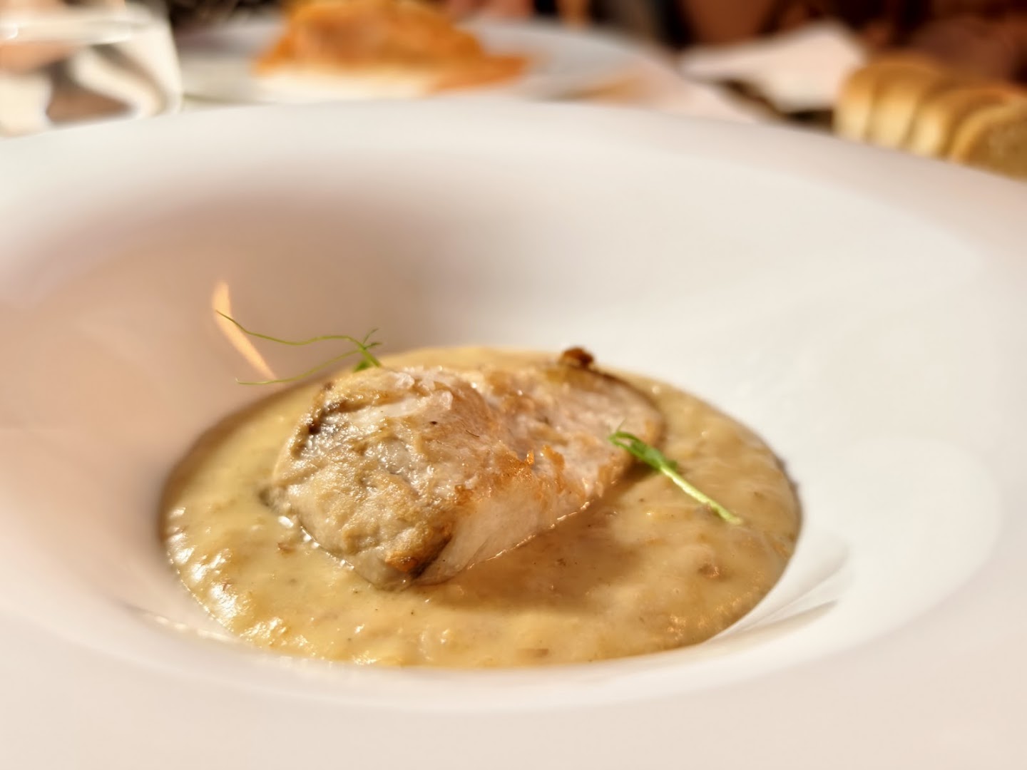 Lumia Restaurant