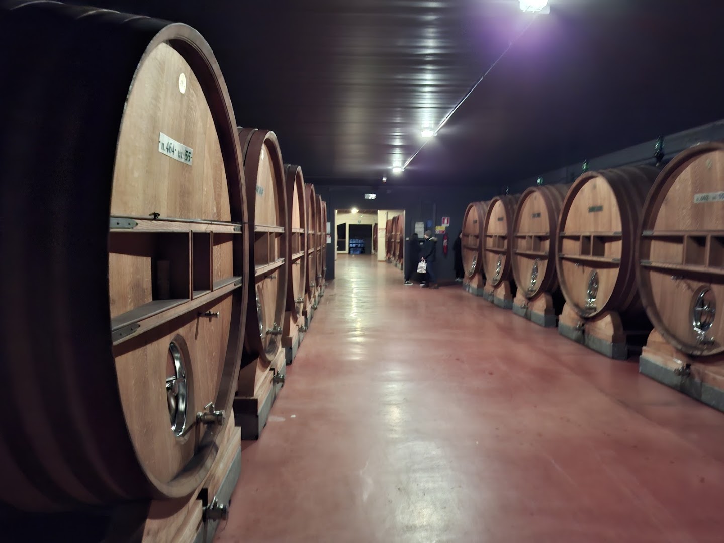 Lungarotti Az. Agraria - Torgiano