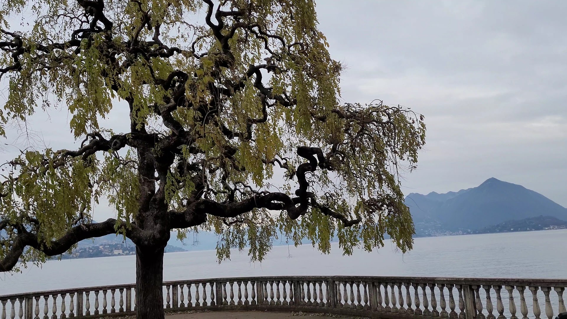 Lungolago di Stresa, Stresa