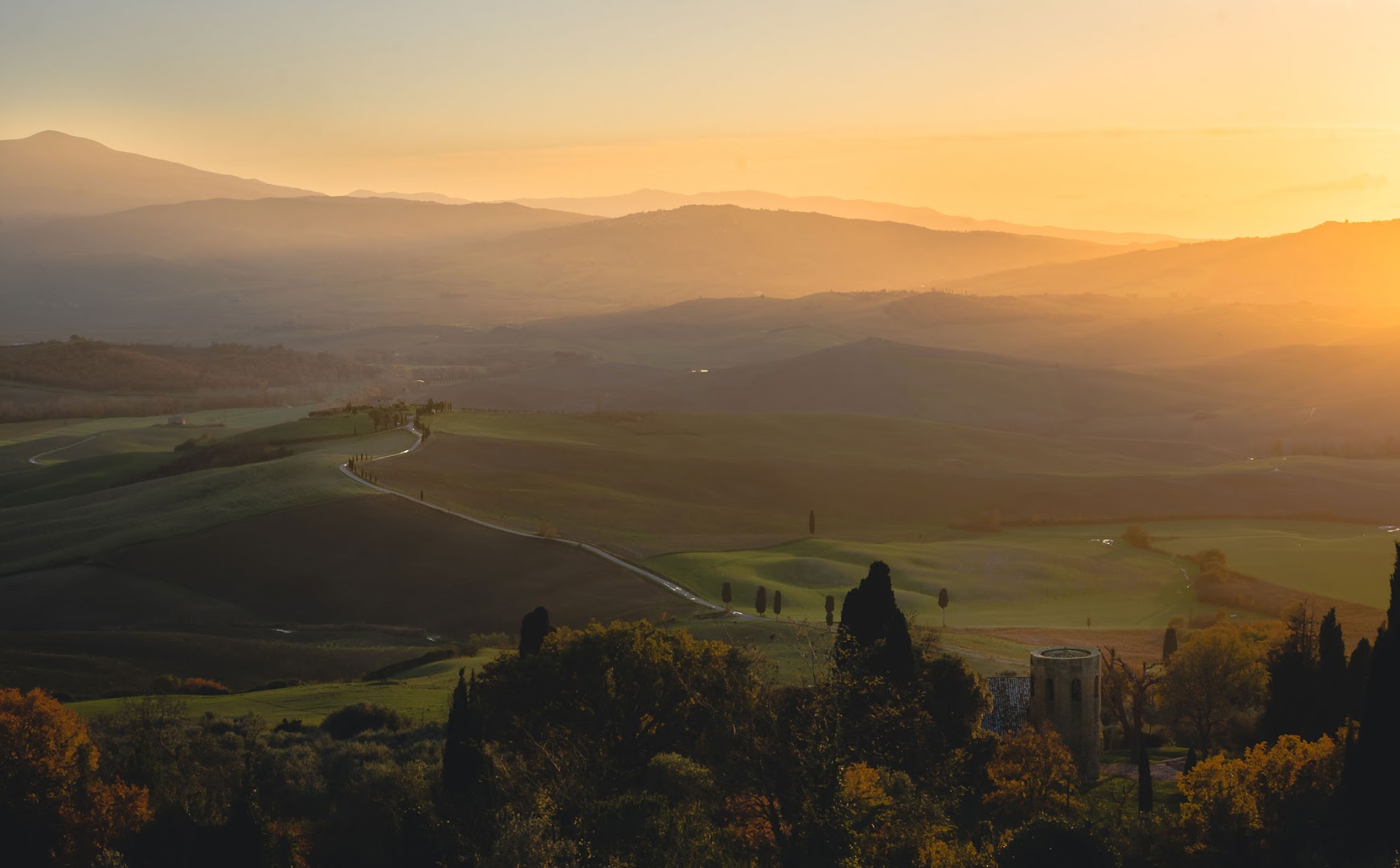 Maccari Montalcino / Pura Crocus