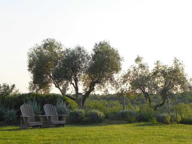 MACCHIABUIA OSTERIA