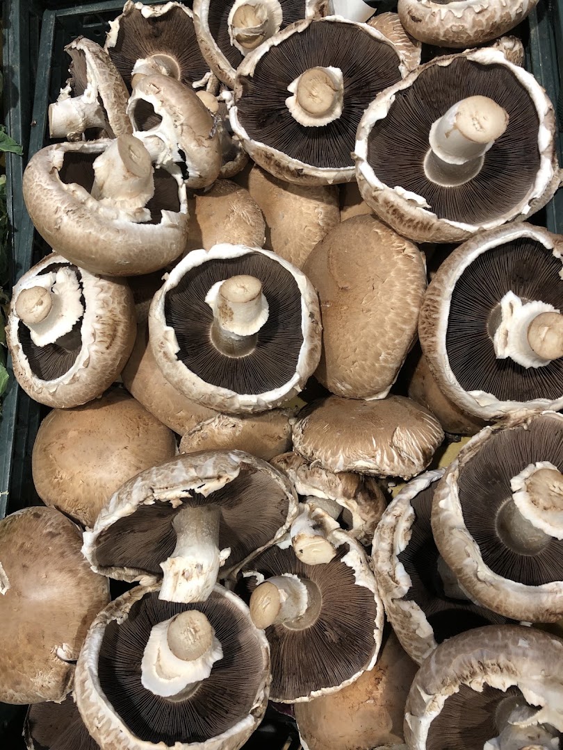 Macelleria da Donato