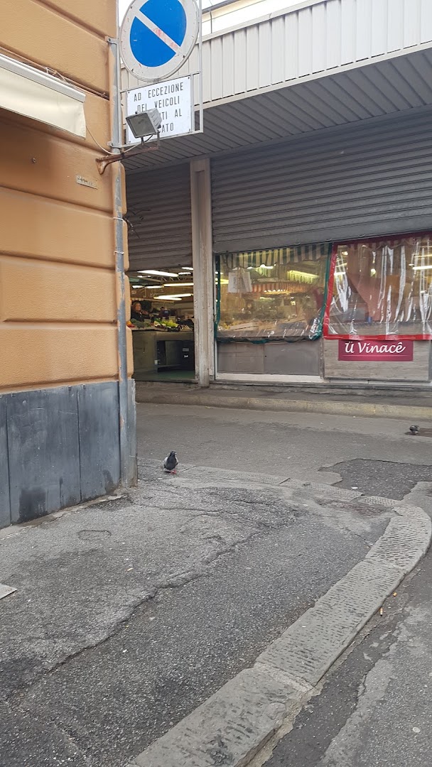 Macelleria Suina Box 58