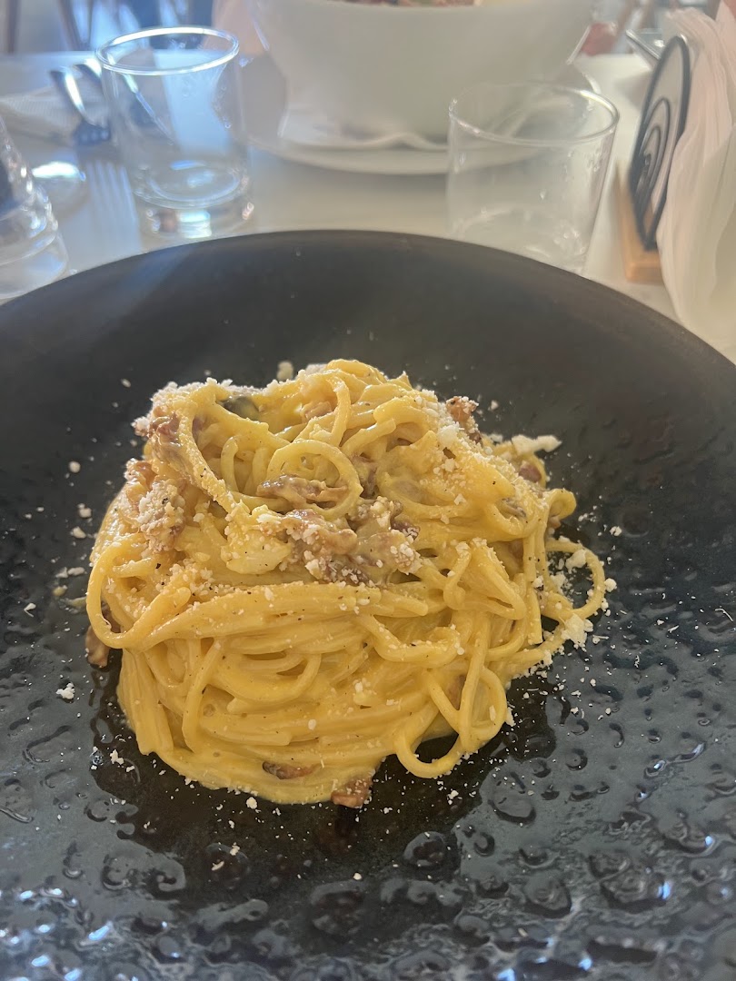 Magia del Gusto