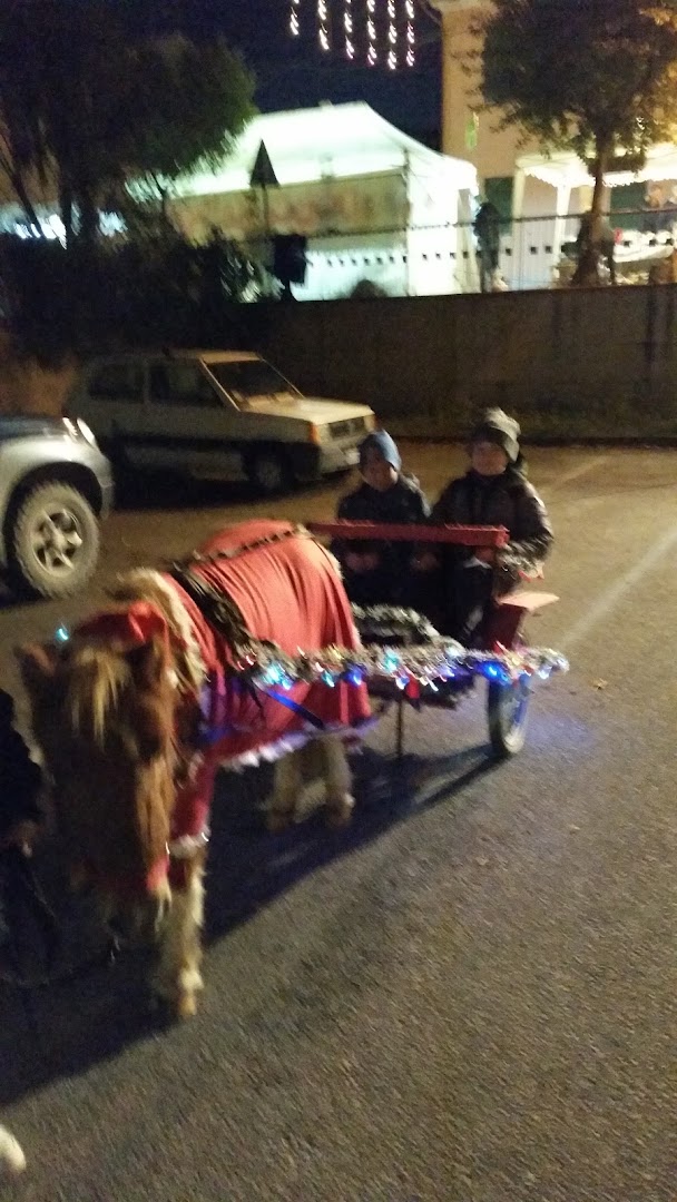 Magic Horse, Jesi