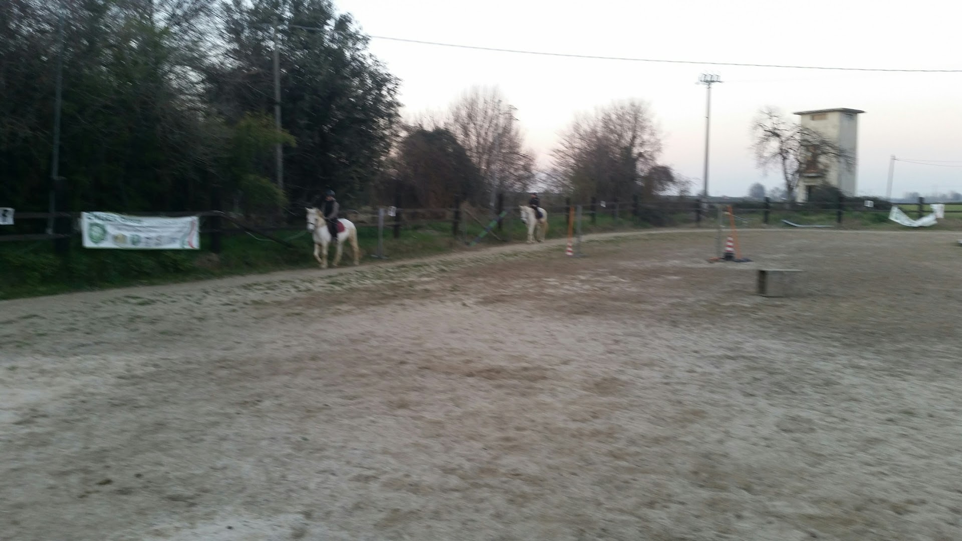Magic Horse
