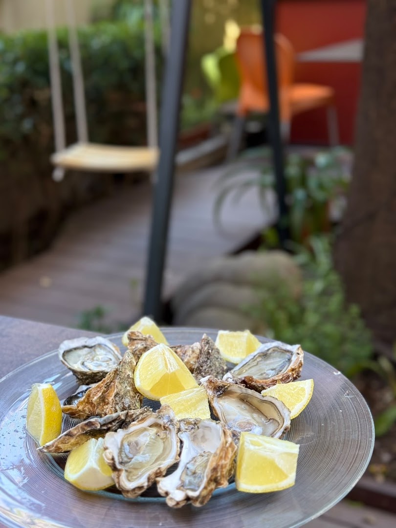Magnolia - Ristorante con giardino, Colazioni, Aperitivi e Focacceria