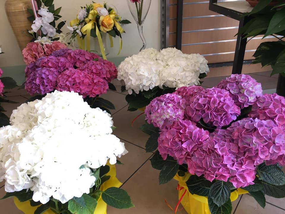 Magrì Fiori e Agenzia Funebre, Casteltermini