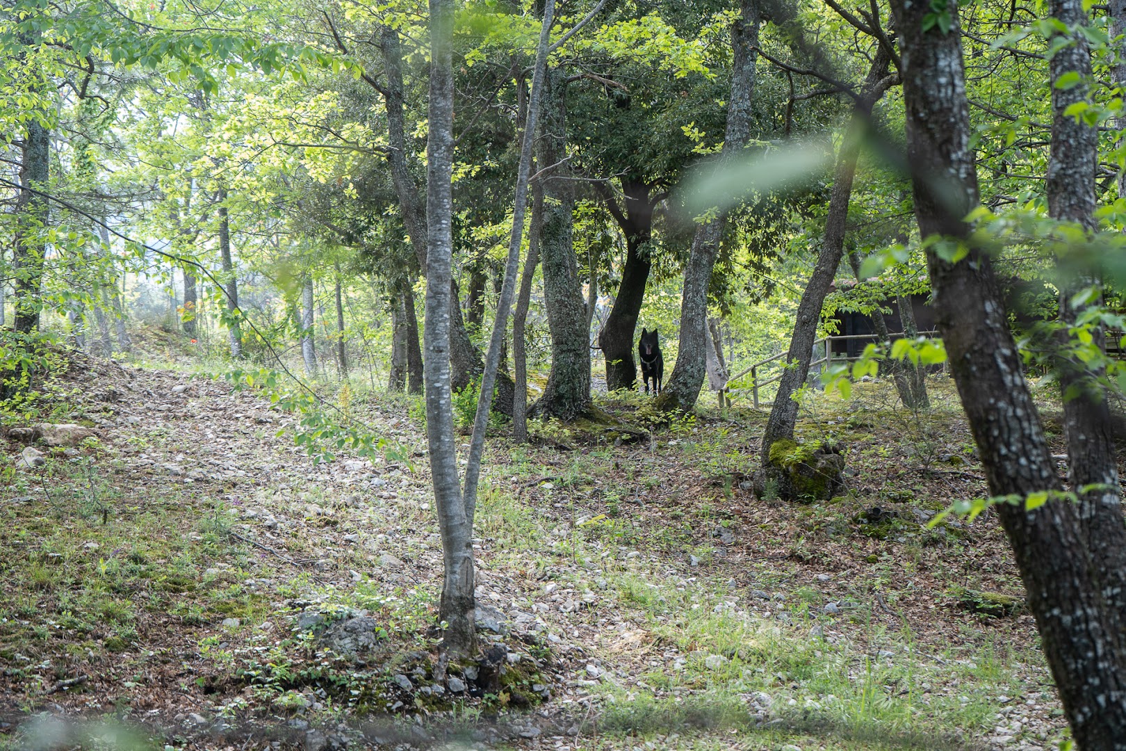 Maia Camping - campeggio etico