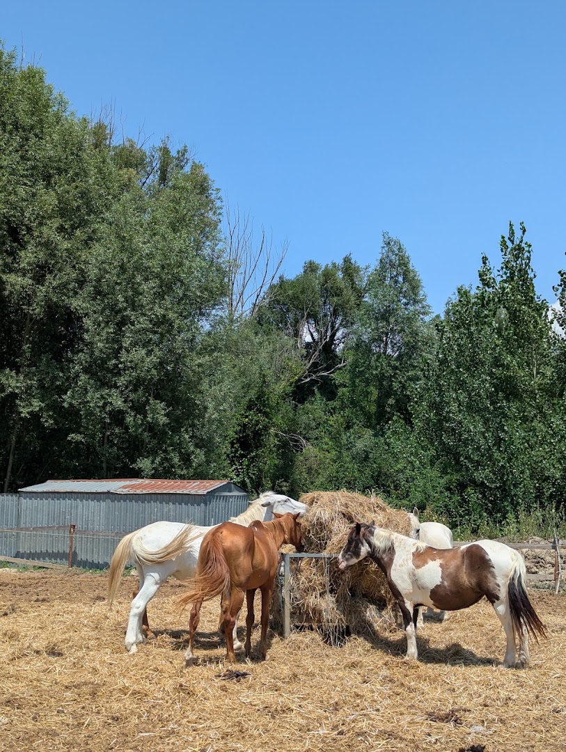 Majellando Escursioni in Abruzzo