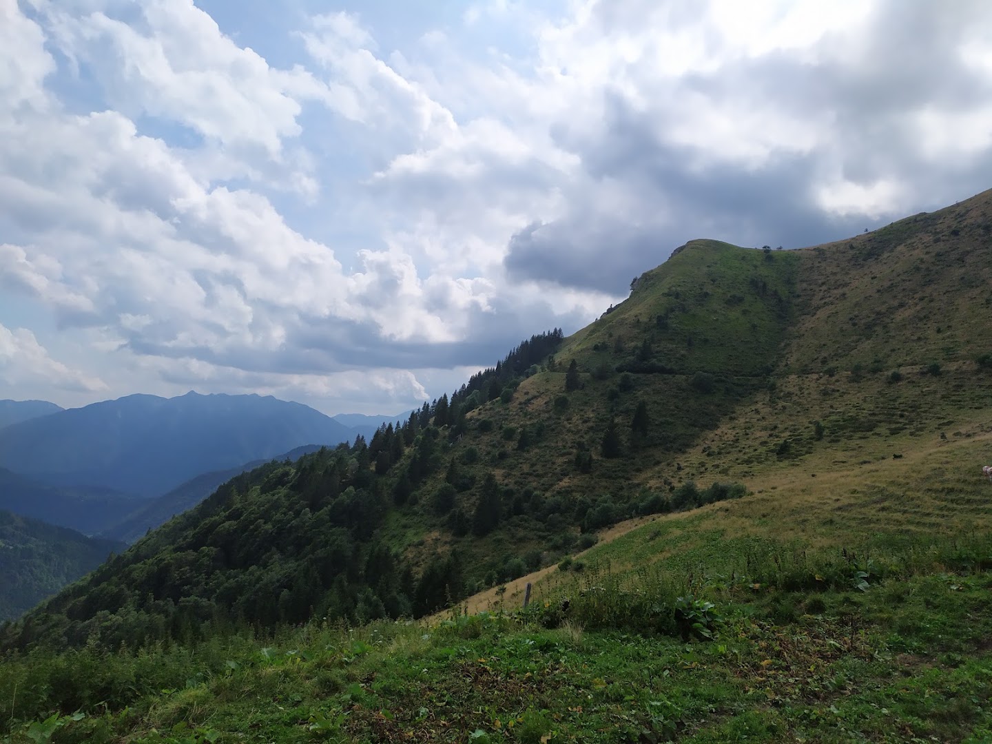 Malga Meleit