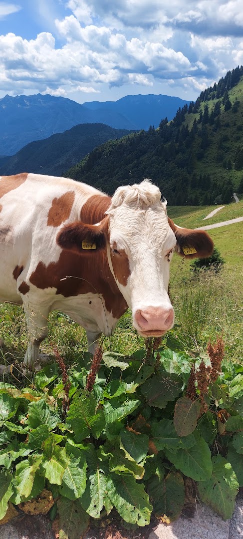 Malga Meleit
