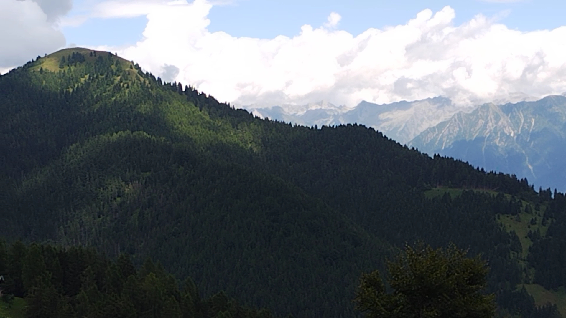 Malga Moren, Borno