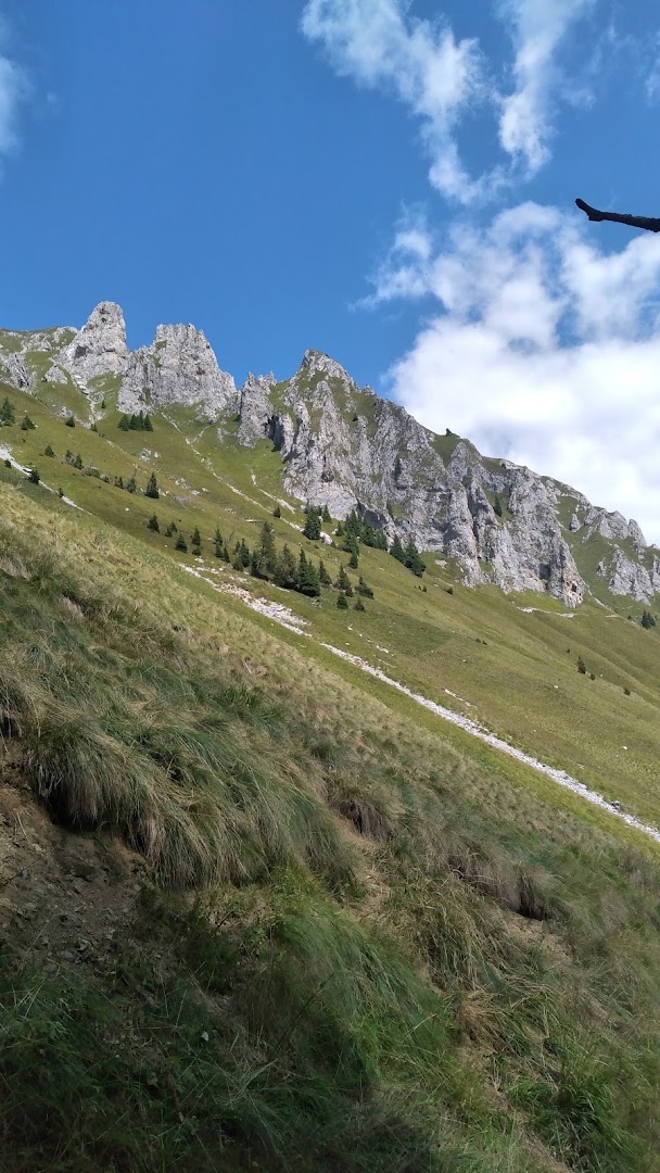 Malga Moren