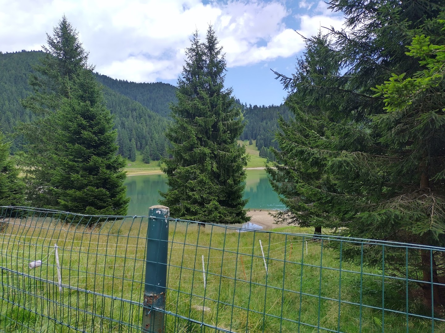 Malga Moren