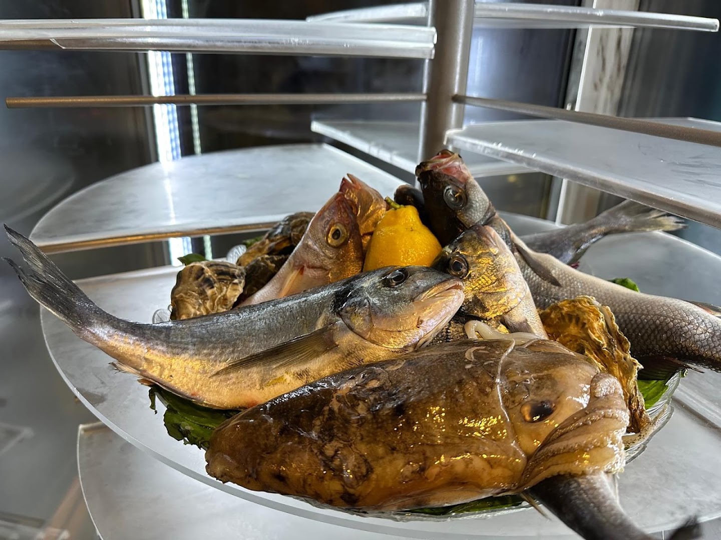 Mambo Osteria & Bar con terrazza sul mare Sea Wiew