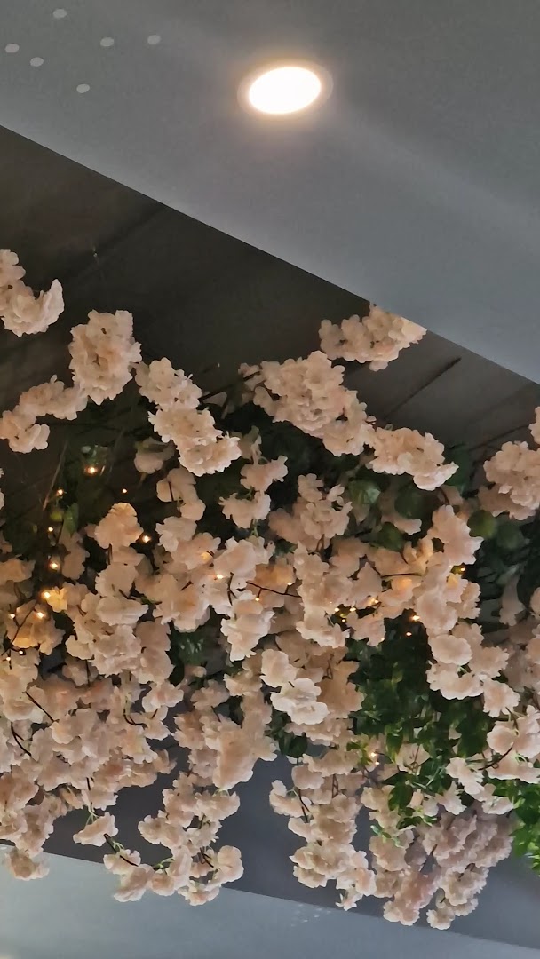 Mame Sushi Restaurant
