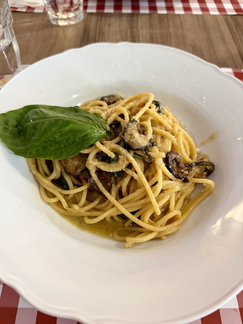 Mandolino Trattoria Pizzeria