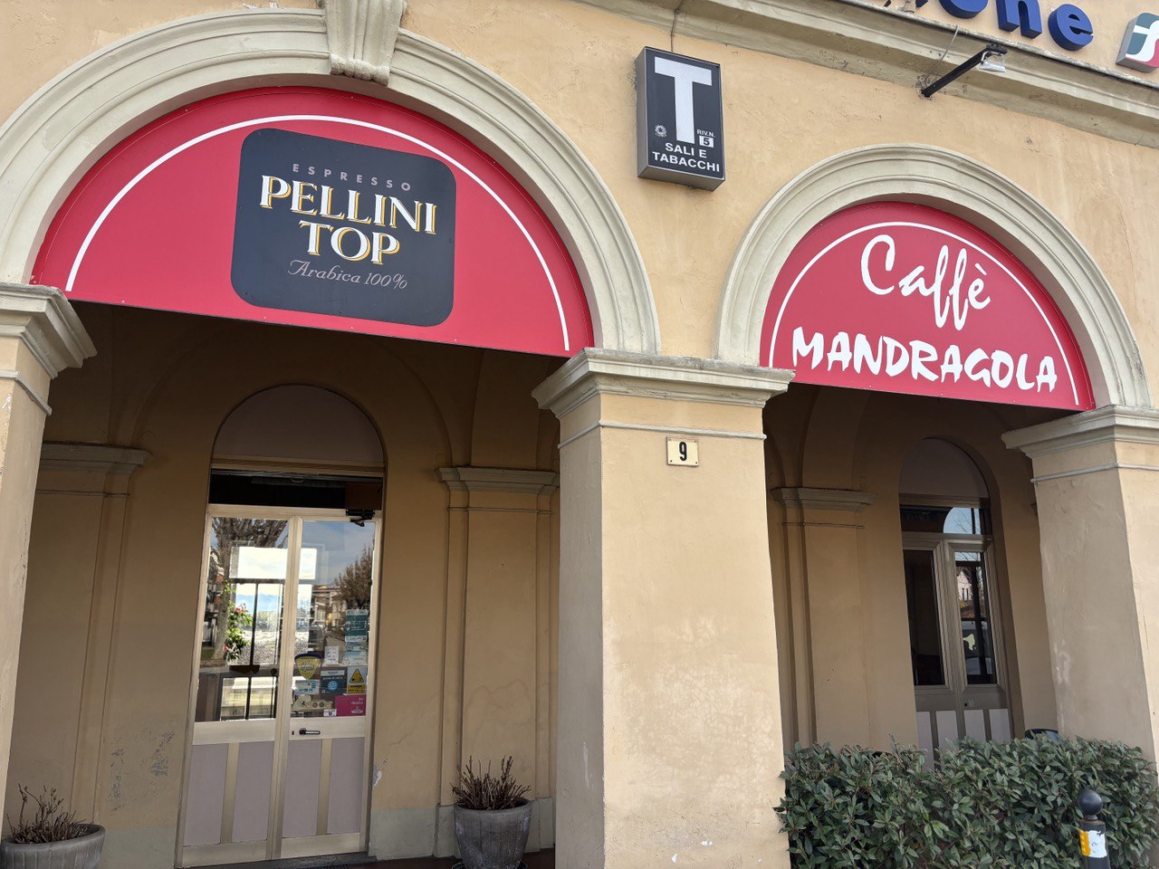 Mandragola, Centallo