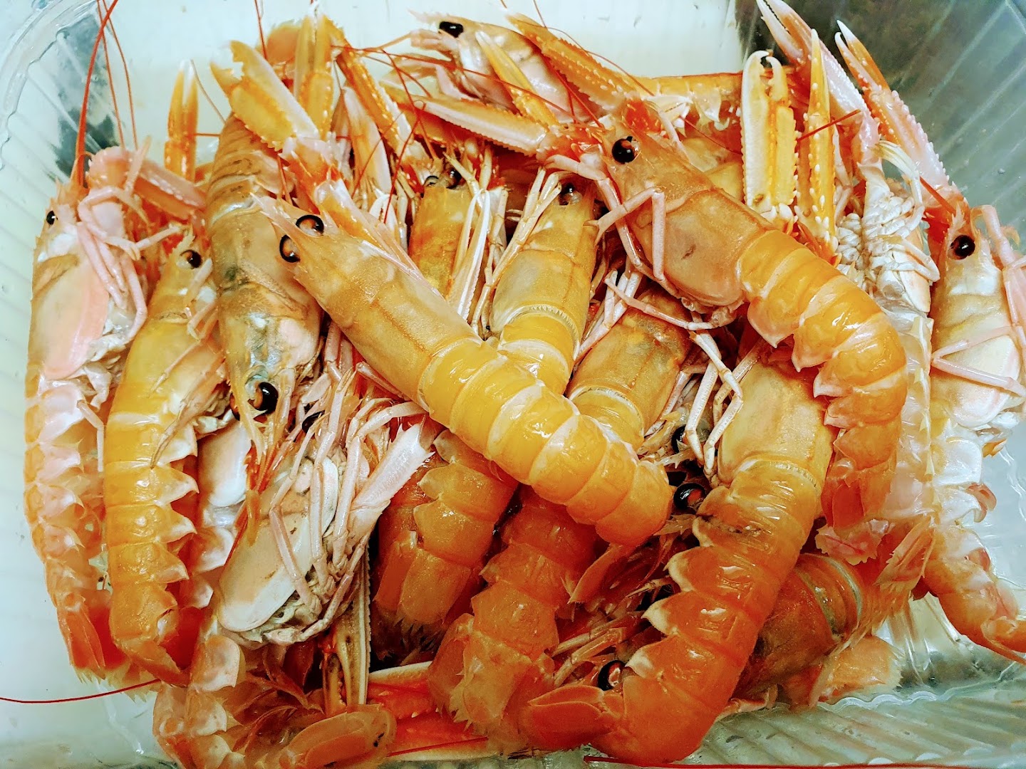 Mangia E Fuggi