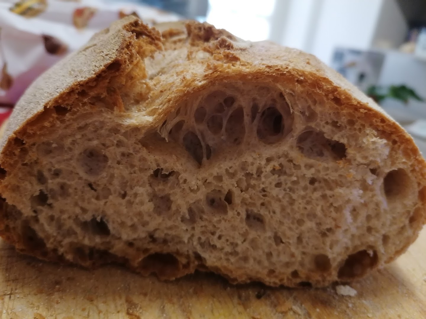 Marcello Vidotto Pane quotidiano
