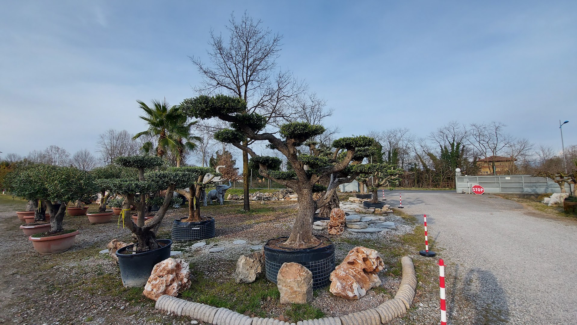 Marchesan Vivai e Garden, Basiliano