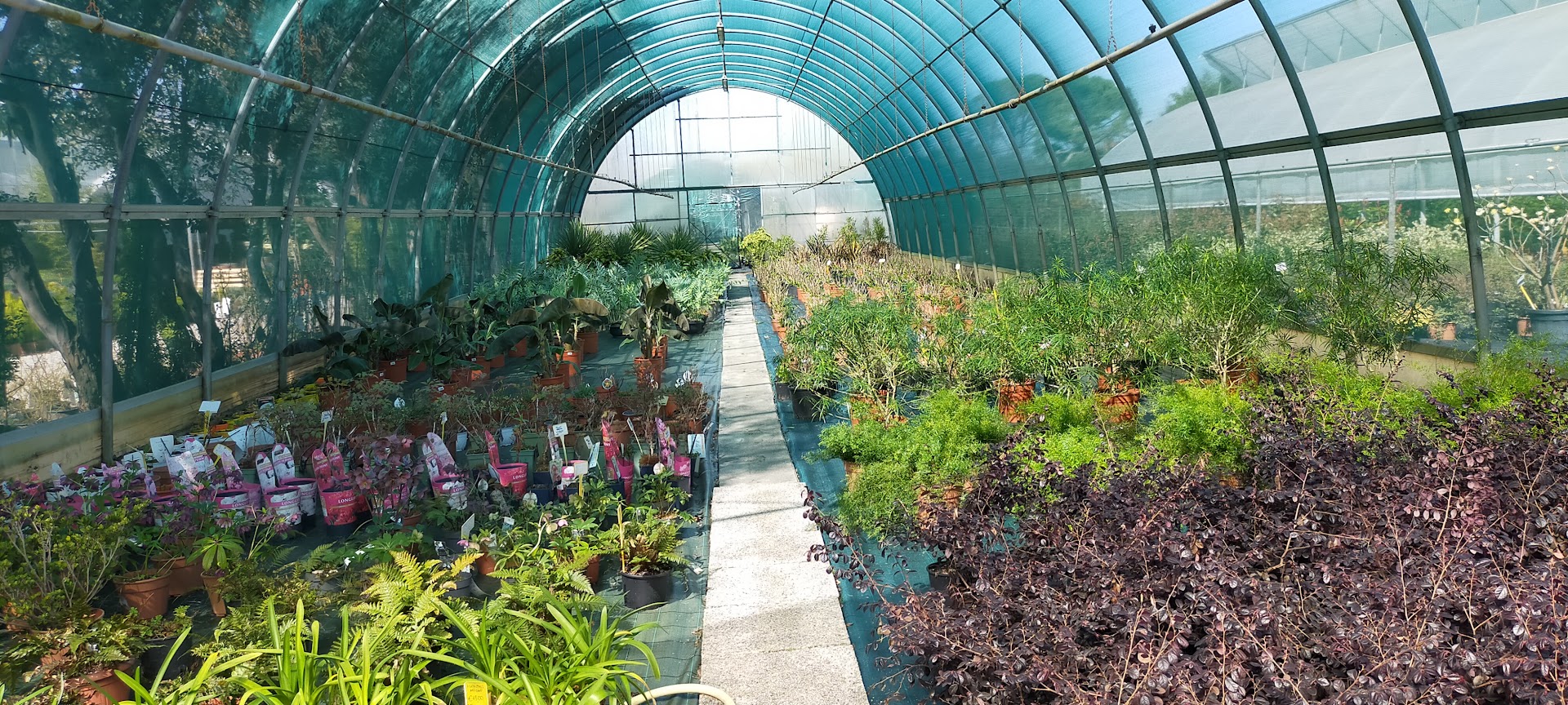 Marchesan Vivai e Garden