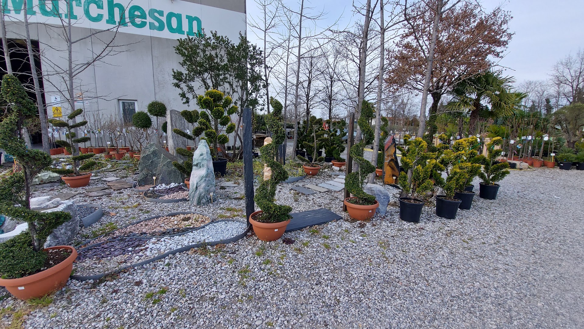 Marchesan Vivai e Garden
