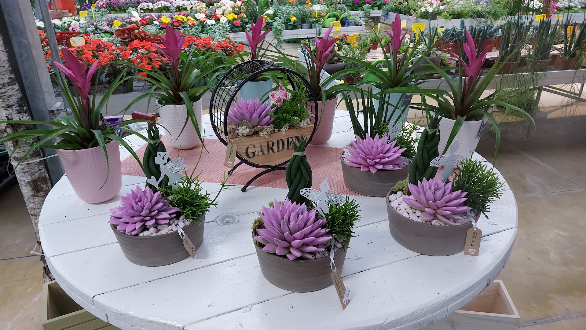 Marchesan Vivai e Garden