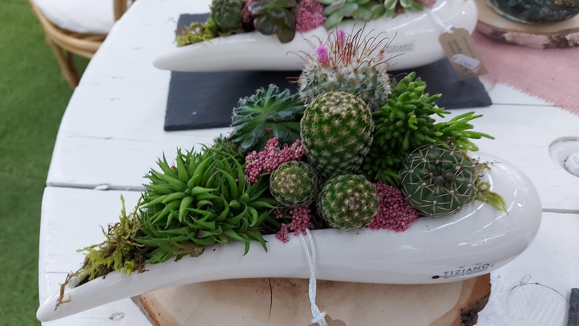 Marchesan Vivai e Garden