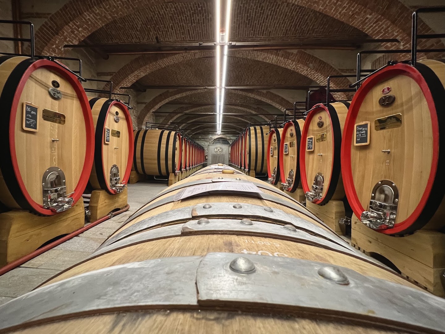 Marchesi di Barolo