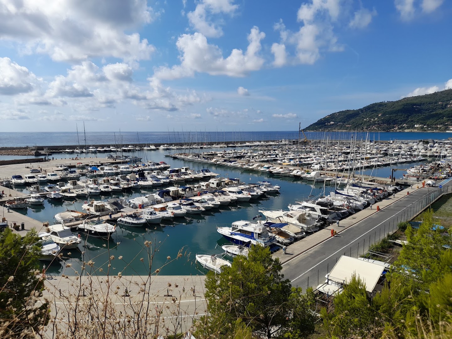 Mareandora
