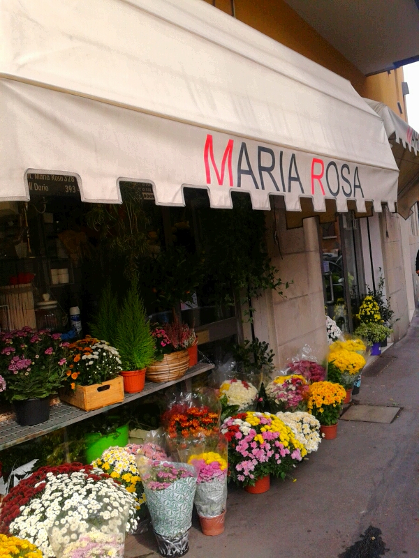 Maria Rosa Fiorista