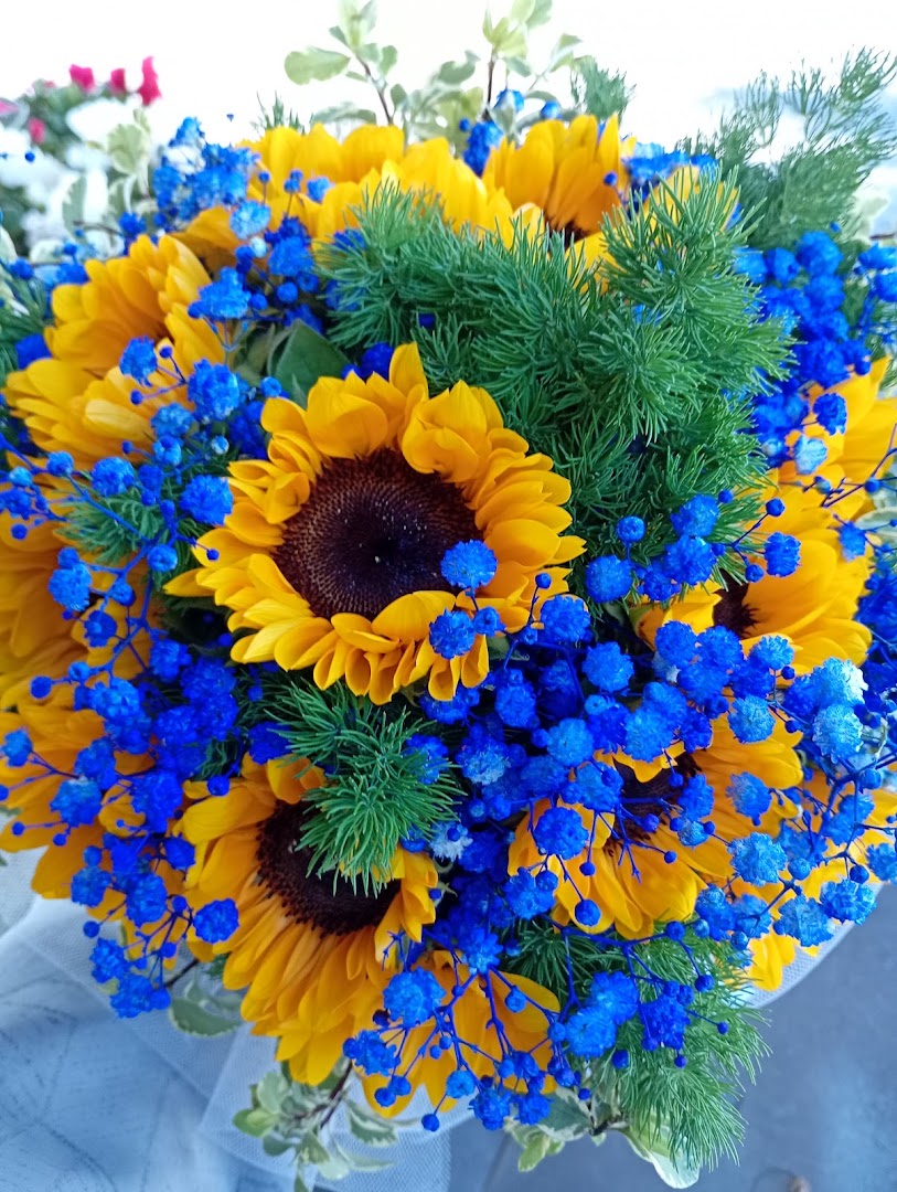 Marino Cossu Chiosco Piante e Fiori, Ceccano