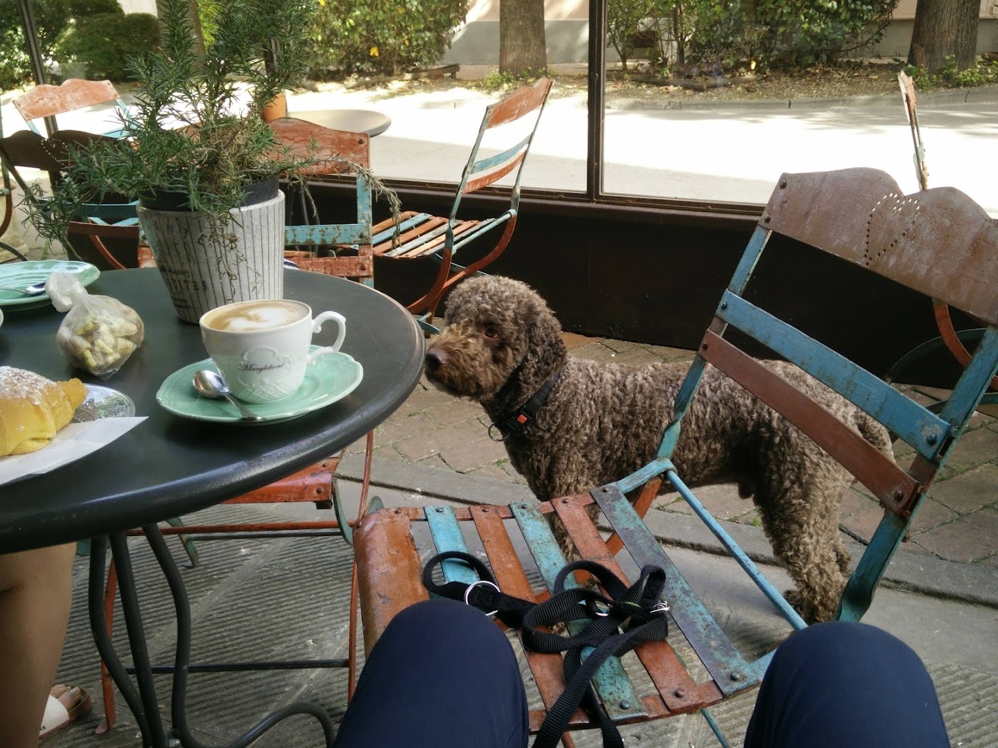 Marylebone bar&coffee, Passignano sul Trasimeno