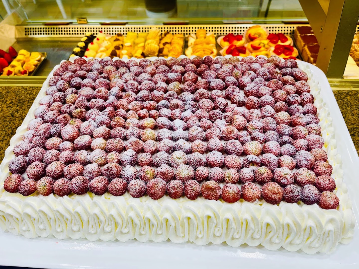 Masci Maurizio, Roma