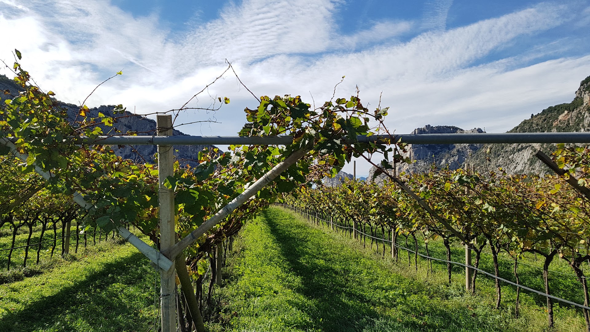 Maso Giare - Azienda Agricola Biologica