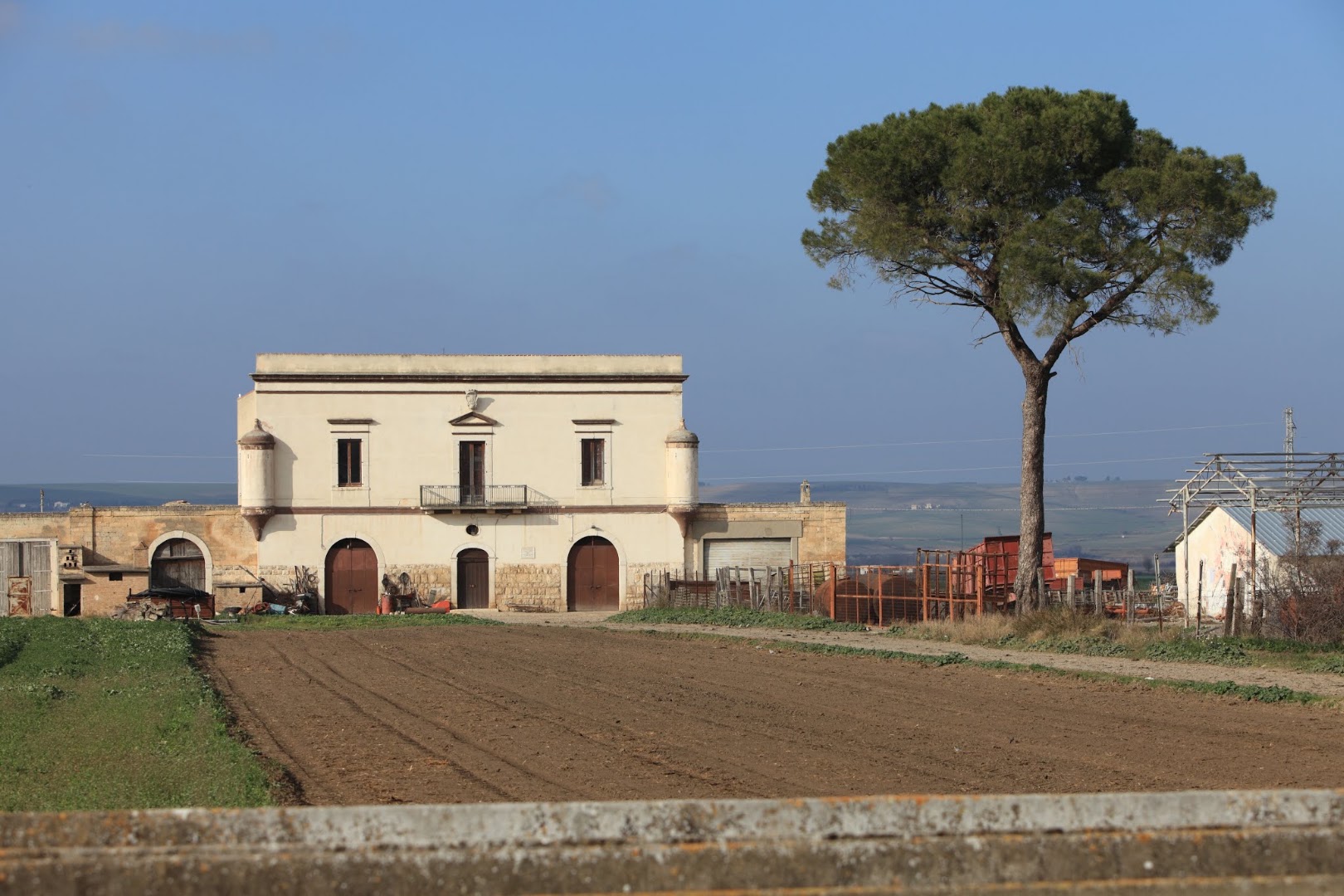MASSERIA LA MARCHESA ALLEVAMENTO BUFALINO E CASEIFICIO MAZZARELLI