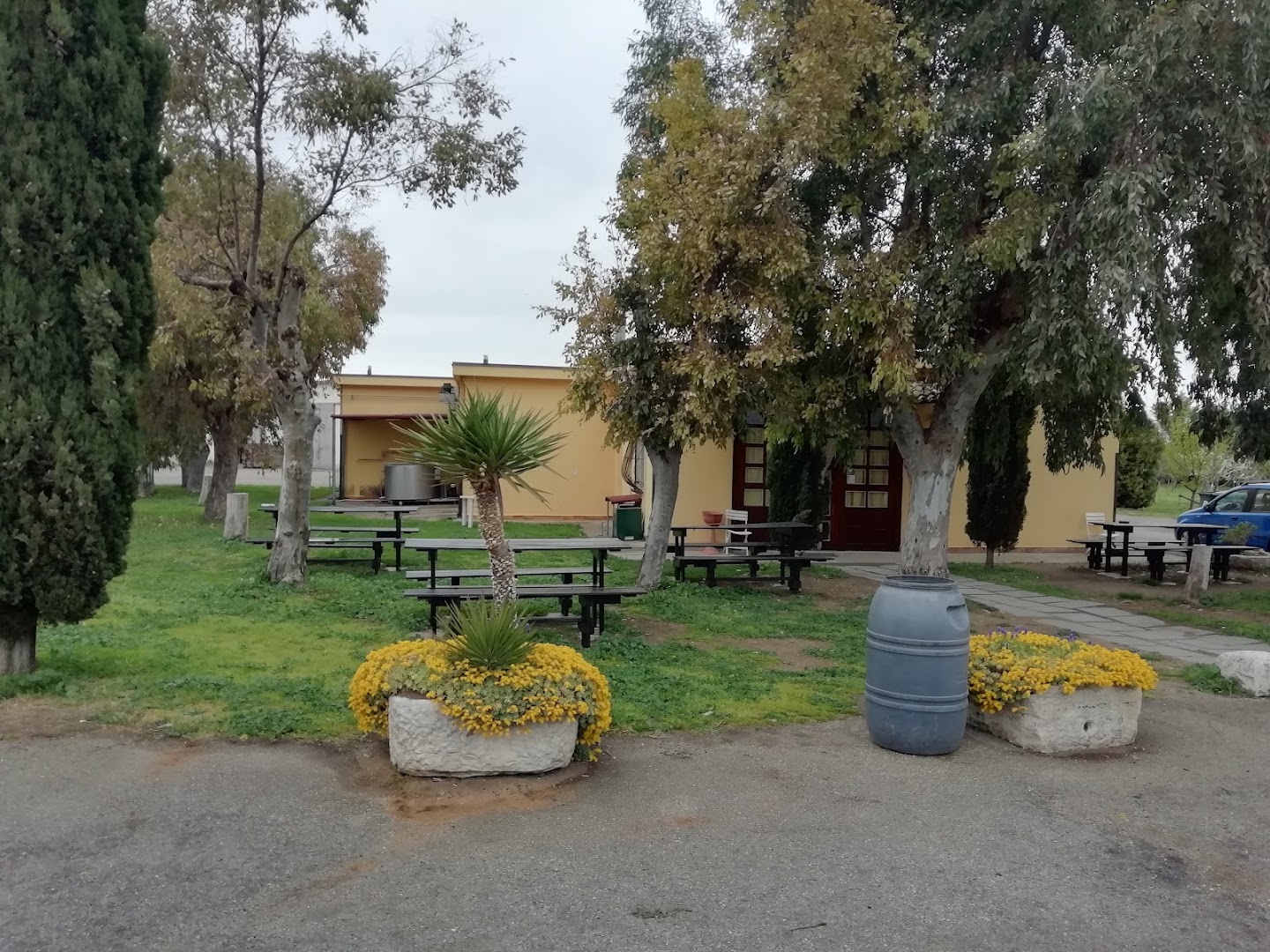 MASSERIA LA MARCHESA ALLEVAMENTO BUFALINO E CASEIFICIO MAZZARELLI