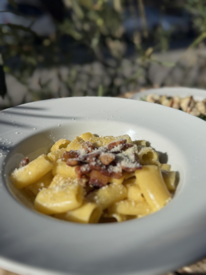 Mastico