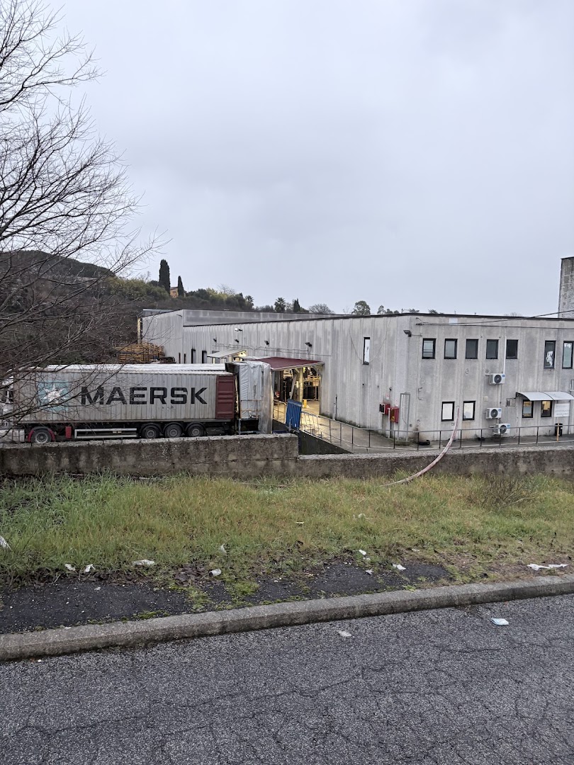 Max Tyre S.r.l.