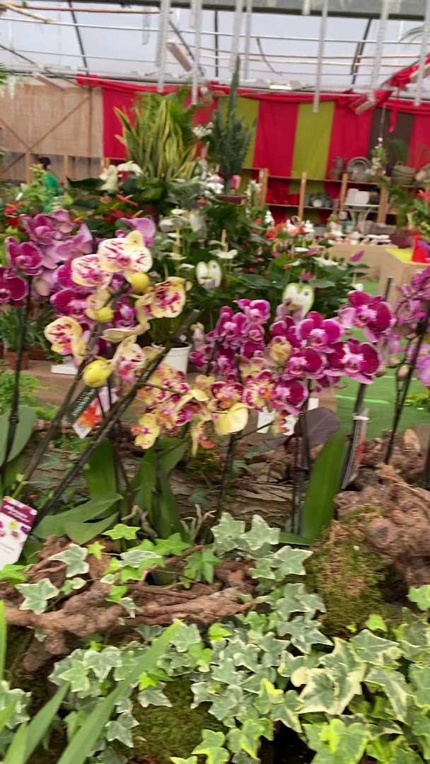 MB Garden, Massa