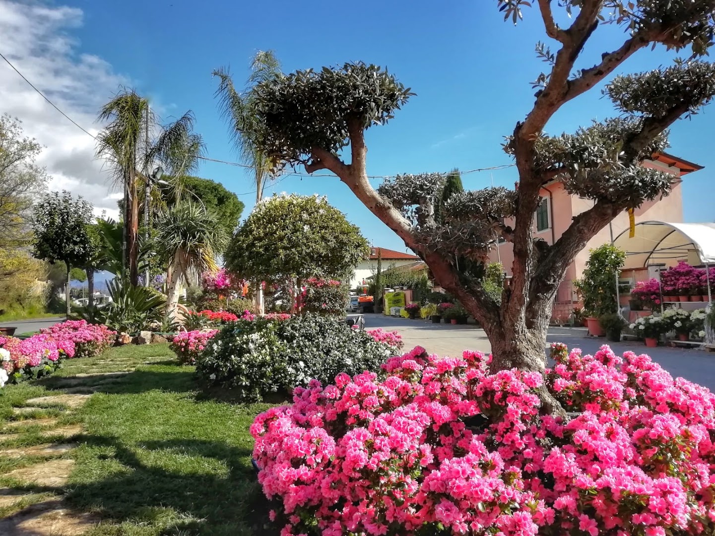 MB Garden