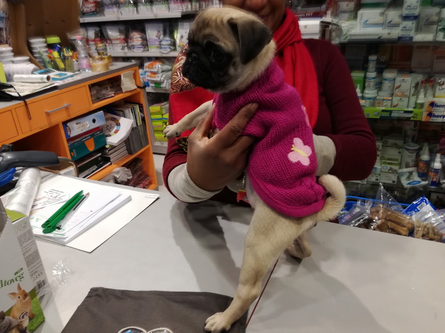 Mc Fido
