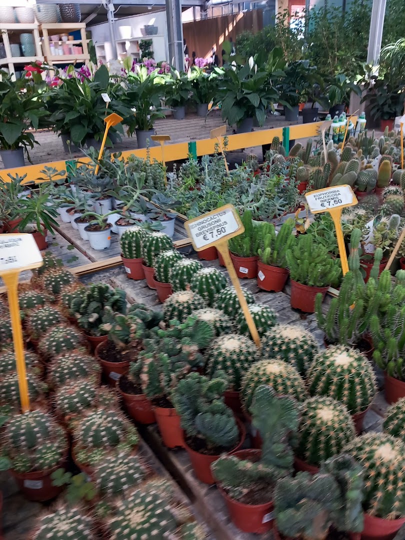 Mediterraneo Garden Center